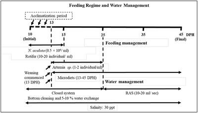 Successful Co-Feeding of Asian Seabass, Lates calcarifer Larvae With Palm Oil-Based Microdiets and Live Feeds